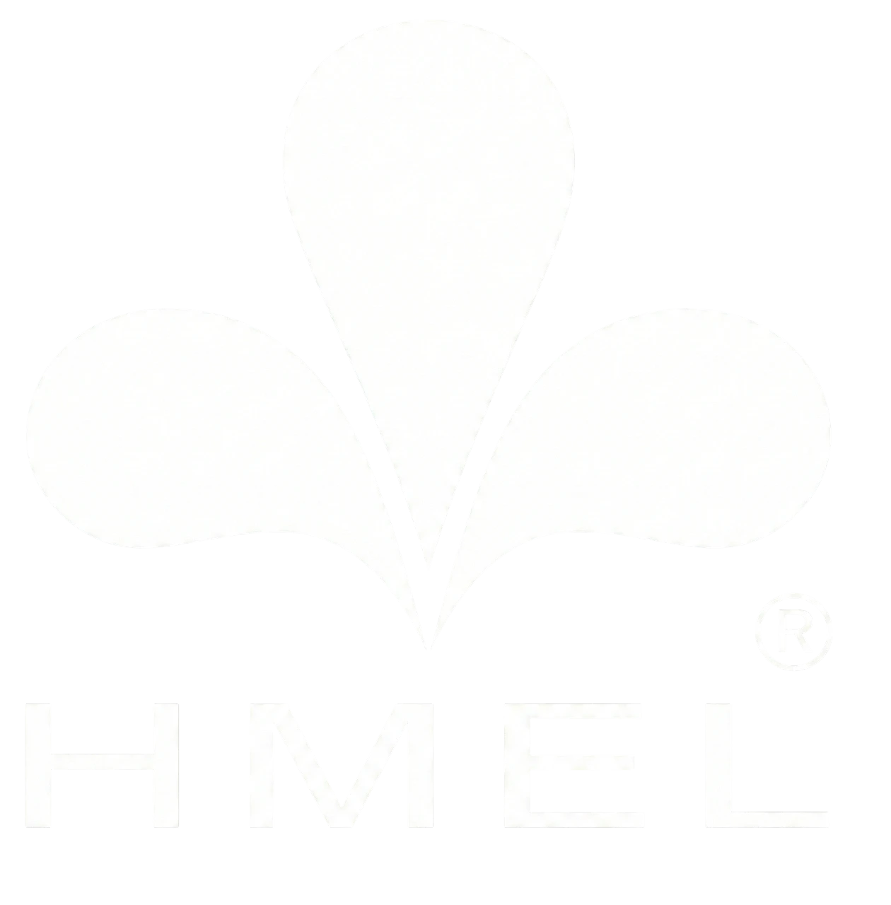 Partner Hospital Logo 3